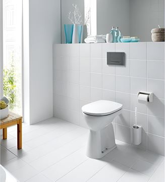LAUFEN PRO stacionární WC, zadní odpad H8219560000001 Obrázek - fotka