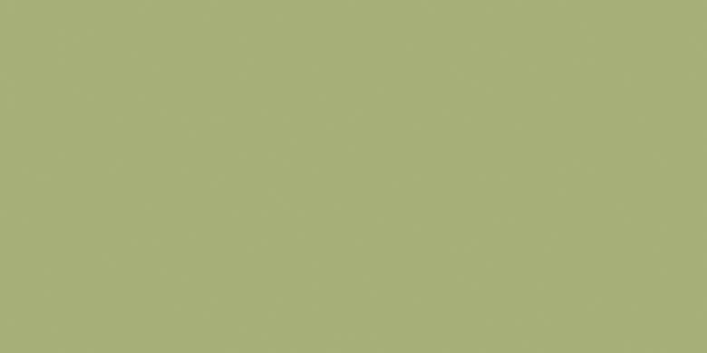 ARGENTA TRENDY obklad 25x50 cm, mat, matcha TRENDY MATCHA Obrázek - Hlavní obrázek