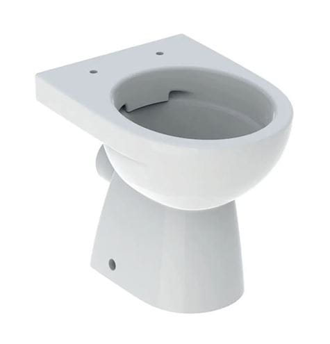 GEBERIT SELNOVA stacionární WC, Rimfree splachování, zadní odpad 500.480.01.7 Obrázek - Hlavní obrázek