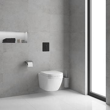 GROHE SKATE AIR ovládací tlačítko pro dvě splachování, plast, phantom black 38505KF0 Obrázek - fotka