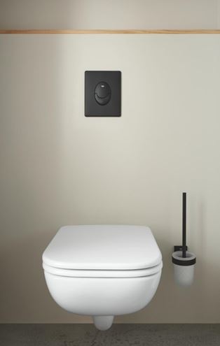 GROHE SKATE AIR ovládací tlačítko pro dvě splachování, plast, phantom black 38505KF0 Obrázek - fotka