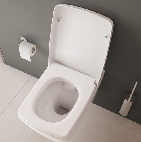CONCEPT 100 METROPOLE závěsné WC, Rim-Ex splachování, alpská bílá 7672B003-0075 Obrázek - fotka