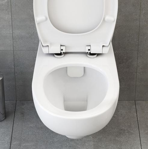 CONCEPT 100 bezbariérové závěsné WC, Rim-ex splachování, alpská bílá 5810B003-0075 Obrázek - fotka