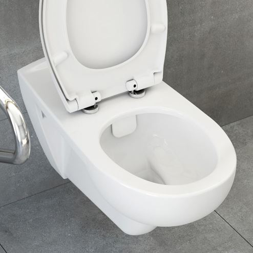 CONCEPT 100 bezbariérové závěsné WC, Rim-ex splachování, alpská bílá 5810B003-0075 Obrázek - fotka