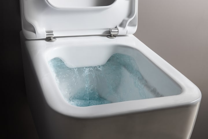 LAUFEN PRO S závěsné WC, Rimless splachování, LCC H8209624000001 Obrázek - fotka