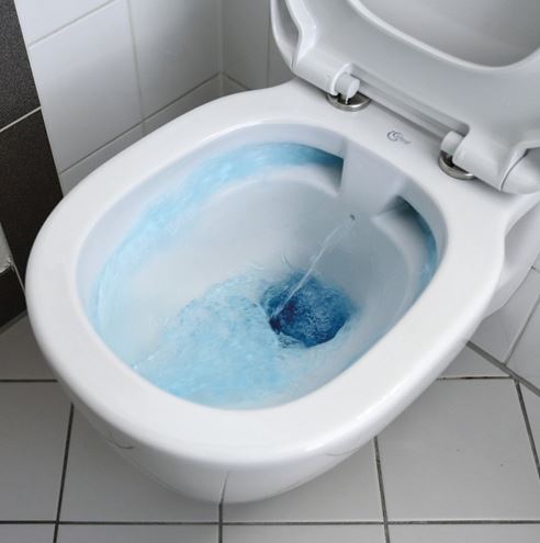 IDEAL STANDARD CONNECT závěsné WC, Rimless, Ideal Plus, alpská bílá E8174MA Obrázek - fotka