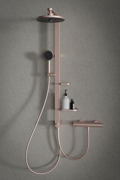 IDEAL STANDARD ALU+ ruční sprcha pr. 100 mm, 2 proudy, rosé BD580RO Obrázek - fotka