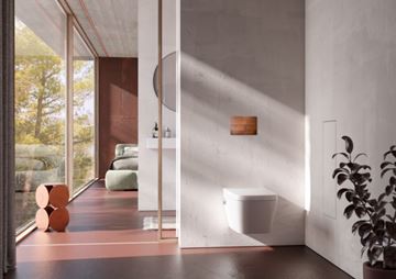 TECE SQUARE II ovládací tlačítko pro dvě splachování, kov, Corten 9240845 Obrázek - fotka