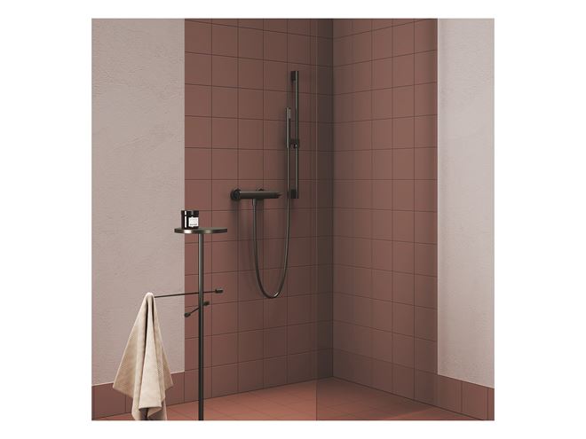 RAVAK 974.20GB sprchová tyč 700 mm s držákem ruční sprchy, brushed graphite X07P703 Obrázek - fotka