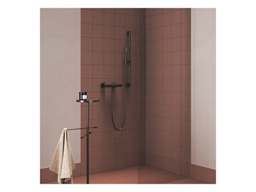 RAVAK 974.20GB sprchová tyč 700 mm s držákem ruční sprchy, brushed graphite X07P703 Obrázek - fotka