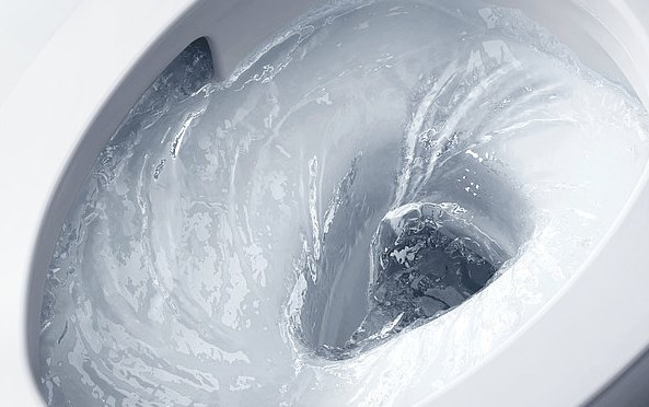 TOTO GP závěsné WC, Rimless splachování CW553Y Obrázek - fotka