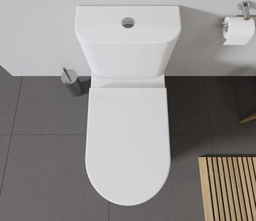 DURAVIT WC sedátko, lesklá bílá 0063320000 Obrázek - fotka