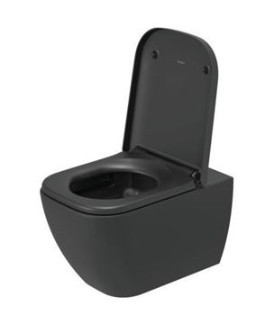 DURAVIT HAPPY D.2 WC sedátko, Soft-Close, anthracite matt 0064591300 Obrázek - fotka