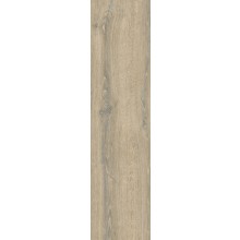 ARIOSTEA LEGNI HIGH TECH dlažba 20x120cm, anticato, rovere buckskin
